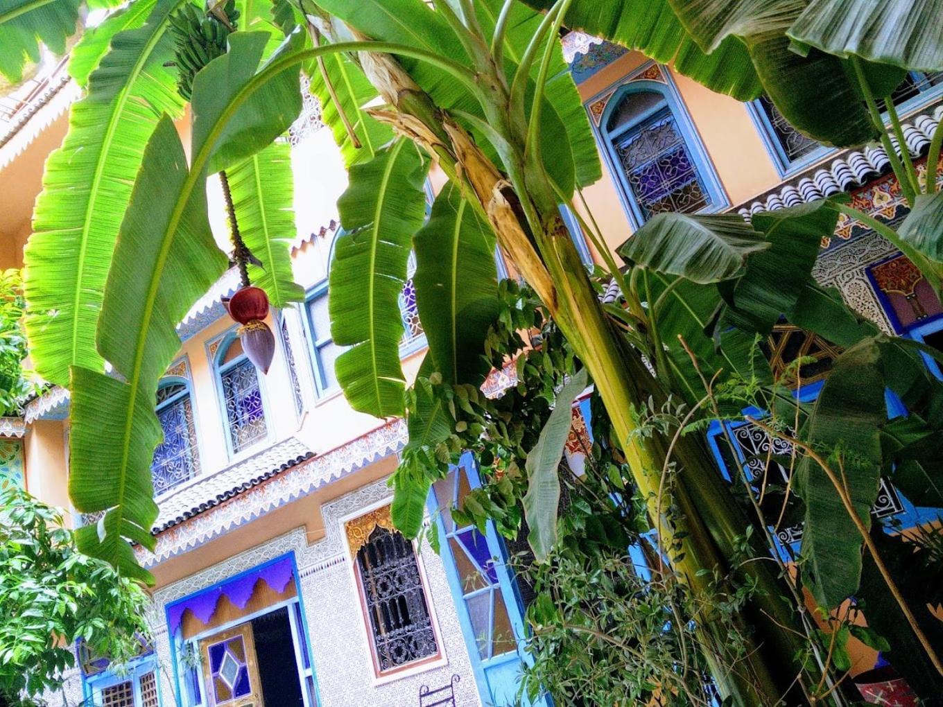 Riad Carole - Perfect For Families & Groups Marrakesh Bagian luar foto